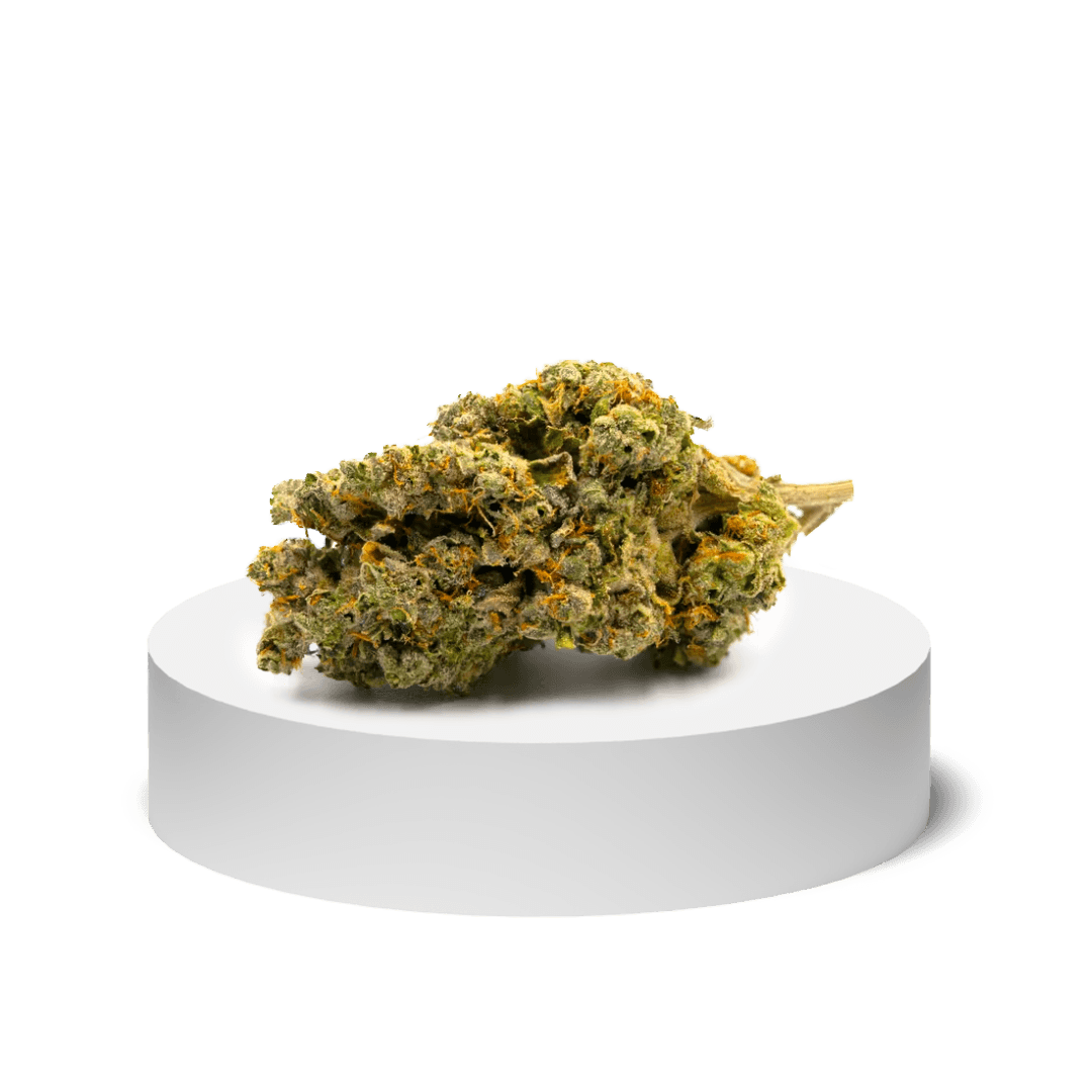 Crescendo Marijuana Strain For Sale Online In Wellington New Zealand