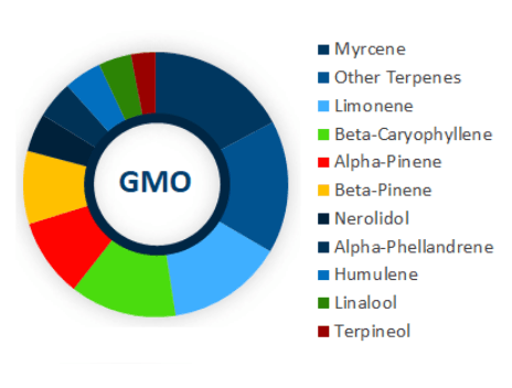 GMO - Cannabis Details