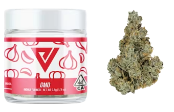 GMO strain marijuana flower next to jar