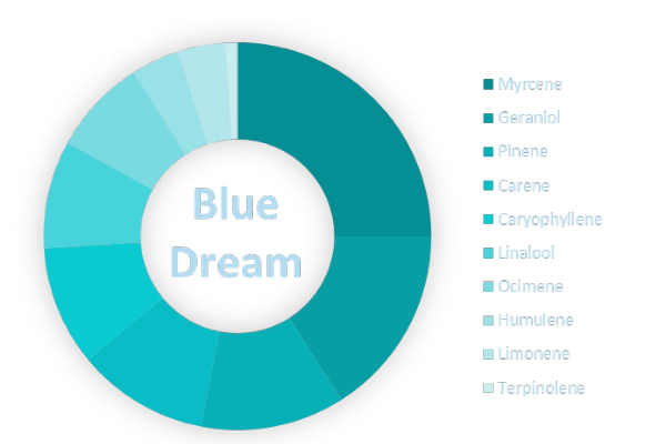 Blue Dream terpene wheel
