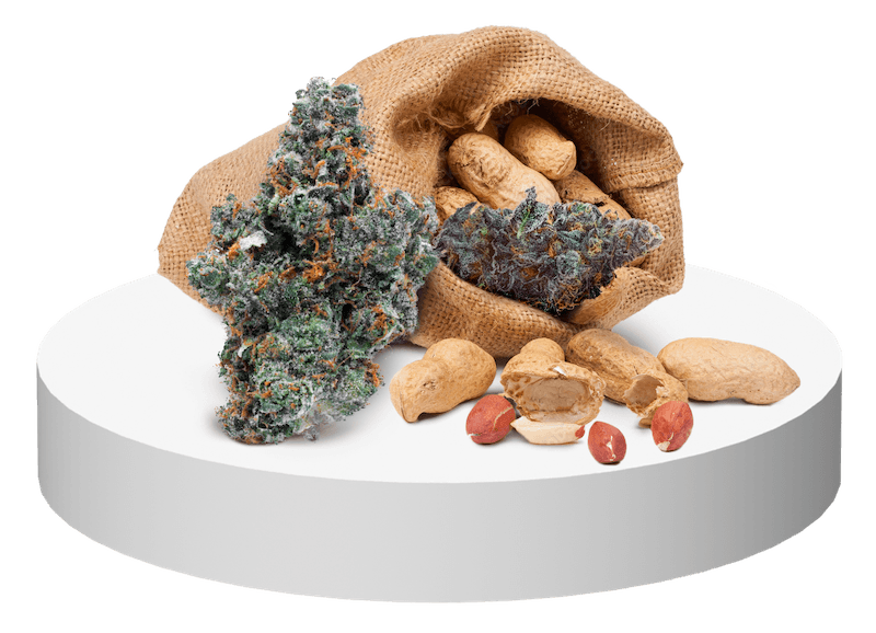 Order marijuana feminized online - the USA - Cheap