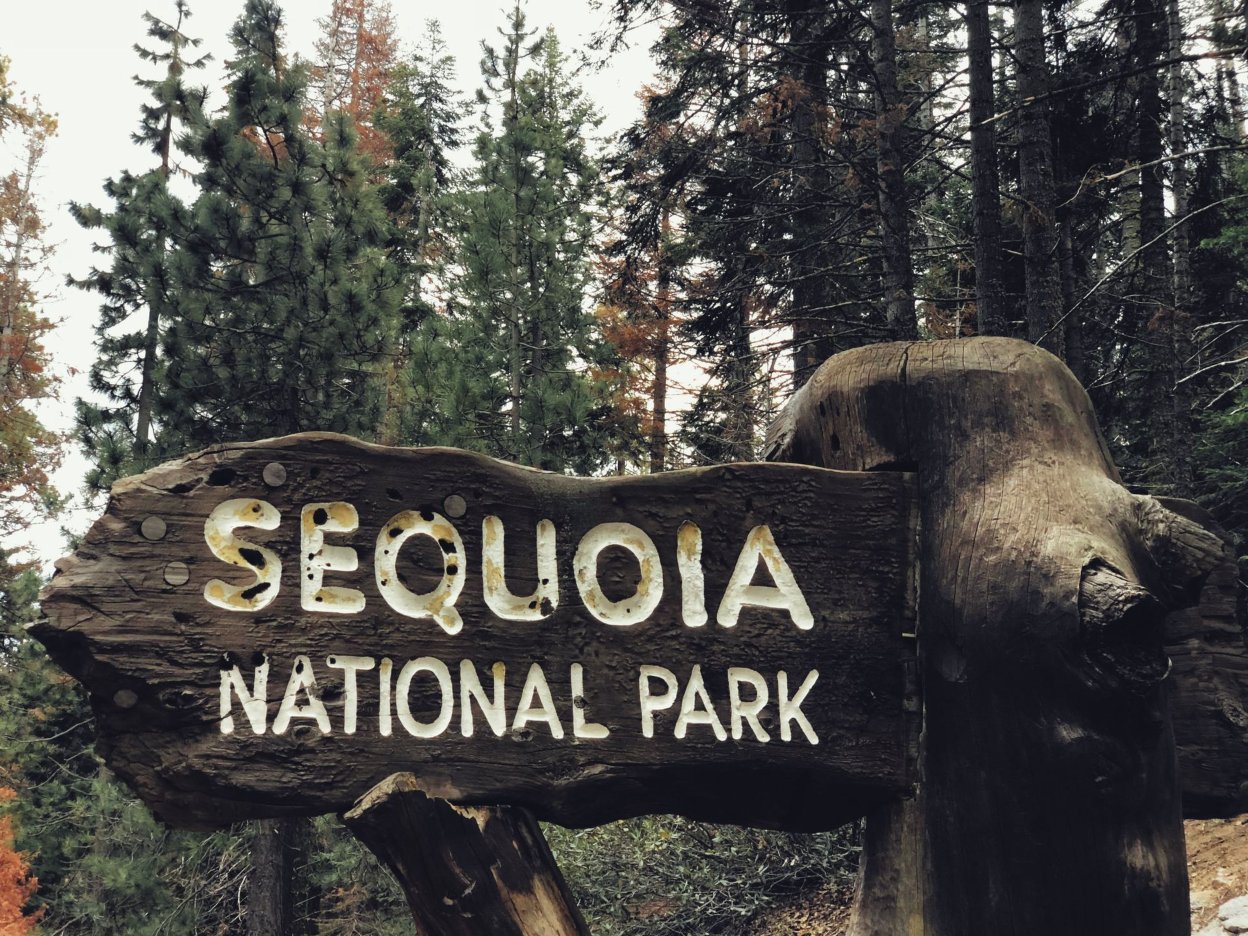 A large wooden Sequoia National Park sign surrounded by trees