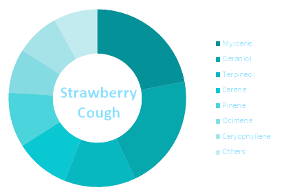 Terpene profile for Strawberry Cough