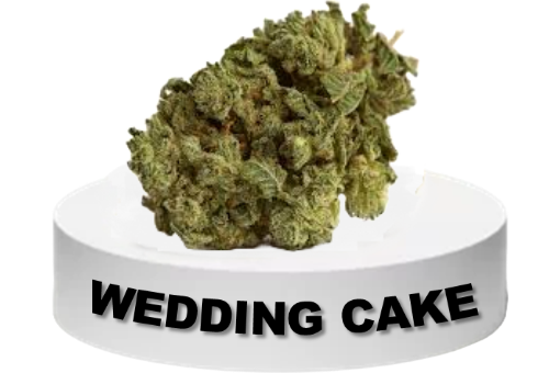 Wedding Cake flower