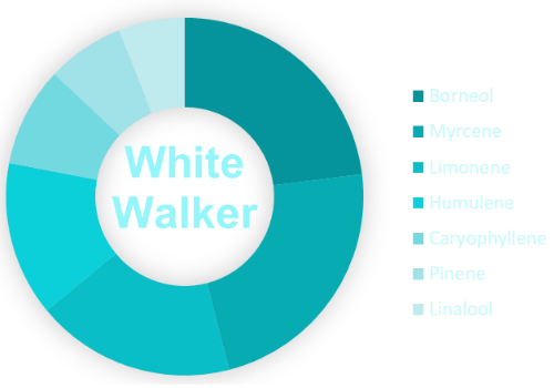White Walker OG Terpene wheel