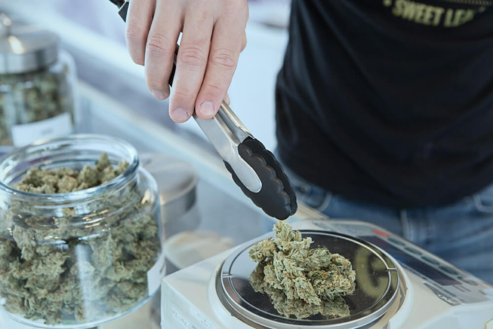 A person using tongs to place cannabis buds on a scale