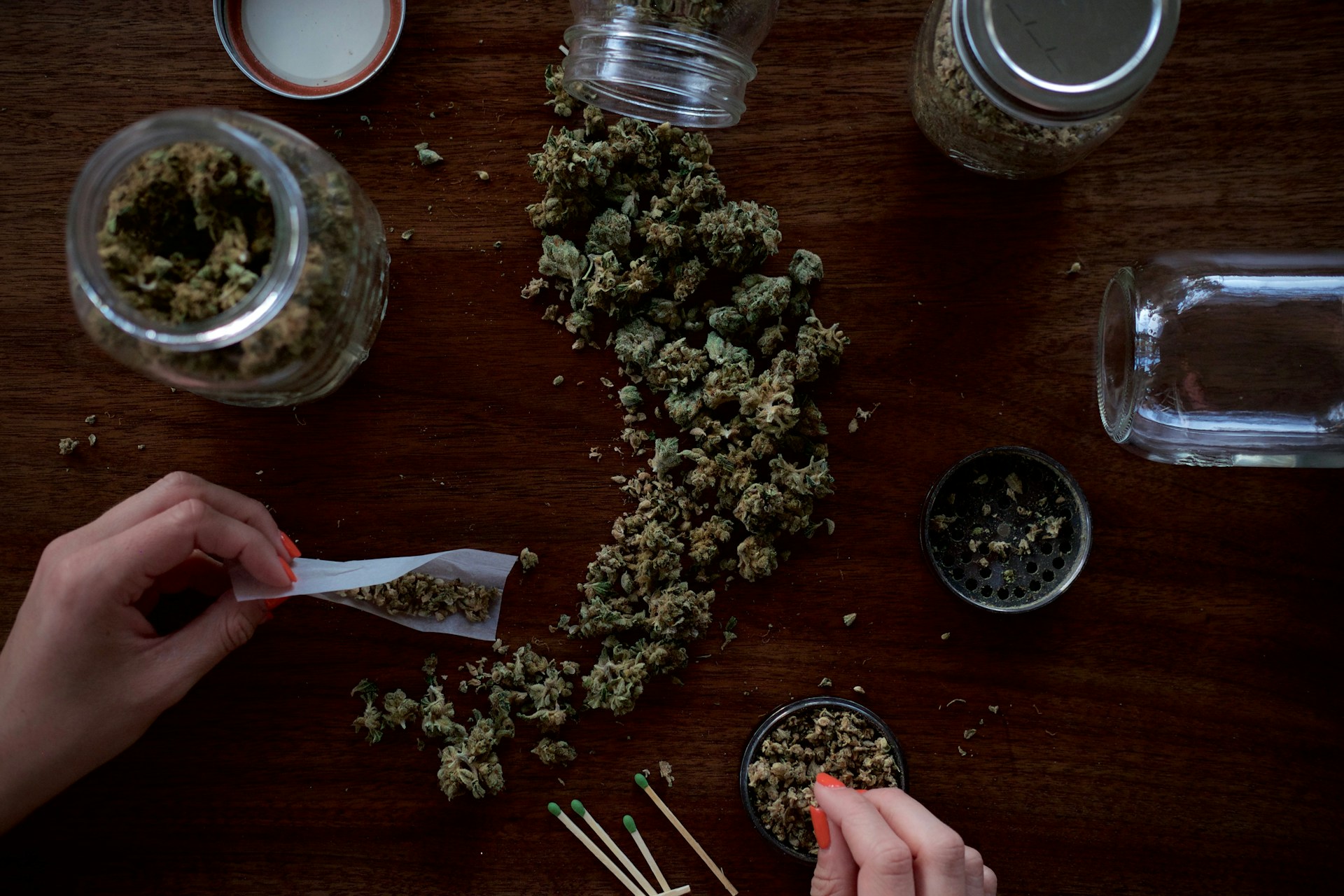 woman’s hands on a table with cannabis rolling a joint 